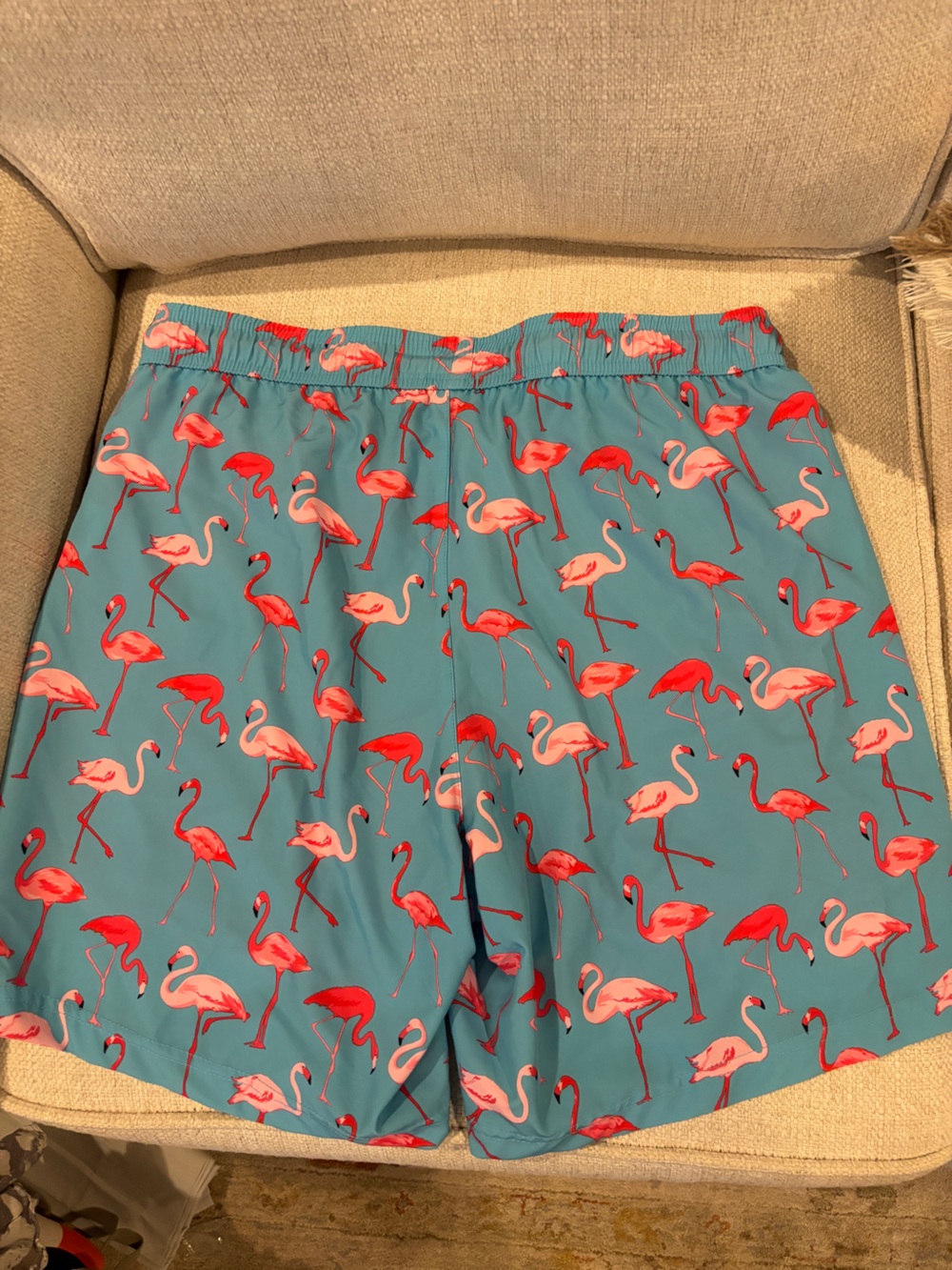 Men's Teal Flamingo Swim Trunks